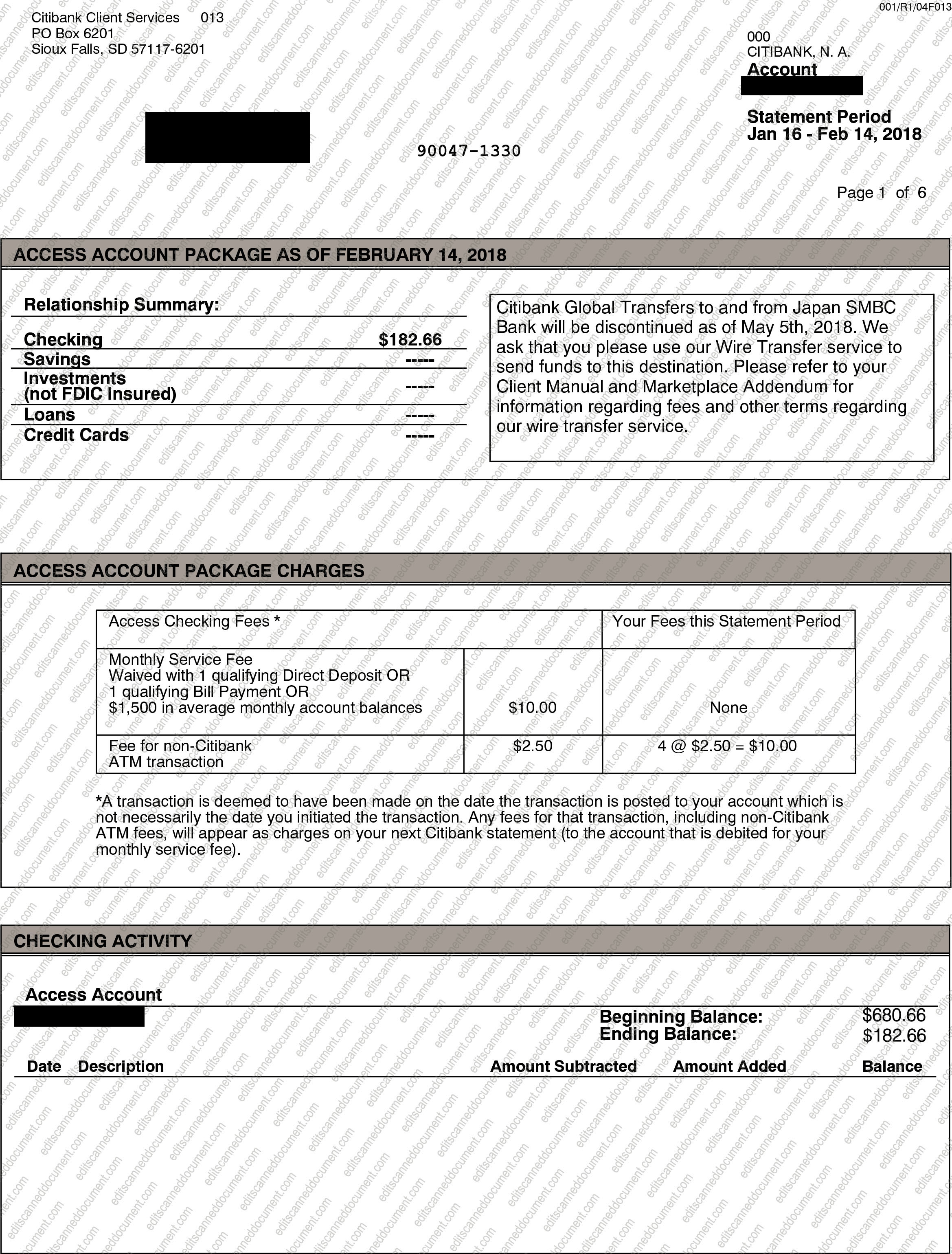 CITI Bank Page 2 Sample Document